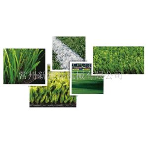 6400 Dtex Artificial Grass Tape Extruding Machine (2) PP 8000 Dtex Monofilament Extruding Machine For Fibrillated Synthetic Grass Yarn